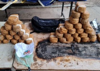 41 paquets de drogue et des munitions trouvés près de la frontière du Liban