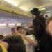 Des supporters de football scandent des chants antisémites sur un vol Ryanair