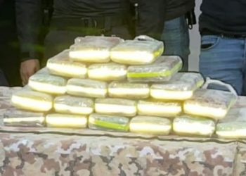 Saisie de 24 kg de cocaïne en provenance d’Egypte