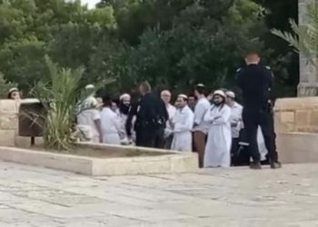 Des juifs se sont déguisés en musulmans pour prier au Mont du Temple. La police les a arrêtés