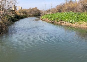 La municipalité de Haïfa a été sommée de cesser immédiatement de polluer la rivière Saadiya