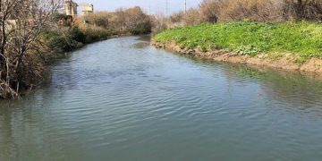 La municipalité de Haïfa a été sommée de cesser immédiatement de polluer la rivière Saadiya