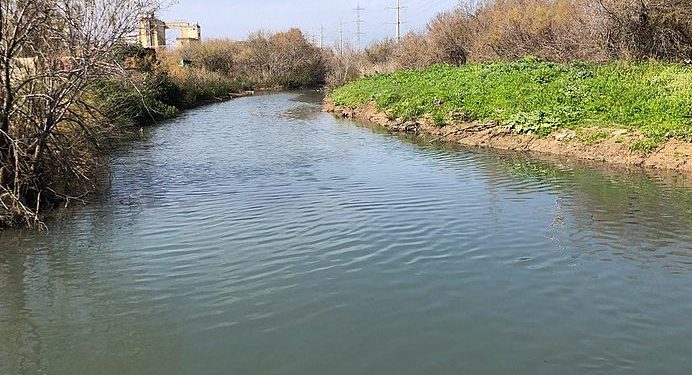 La municipalité de Haïfa a été sommée de cesser immédiatement de polluer la rivière Saadiya