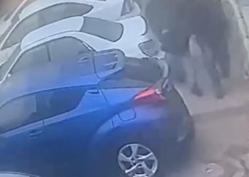 Arrestation d’un suspect terroriste, en douceur