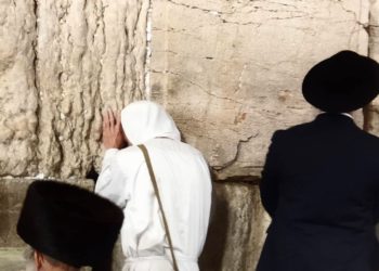 Le 29 novembre 1947, les Arabes refusaient un Etat palestinien. Depuis, ils sont des occupants illégaux