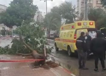 Tempête Carmel : un passant blessé par un arbre arraché à Netanya
