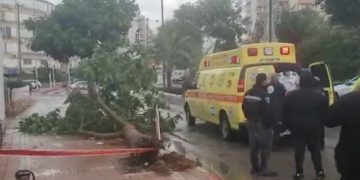 Tempête Carmel : un passant blessé par un arbre arraché à Netanya