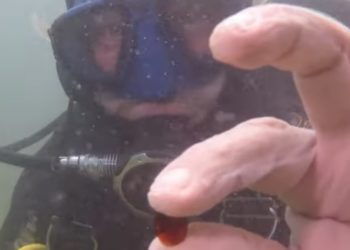 Pierres précieuses, pièces de monnaie : Un trésor antique découvert dans des navires qui ont coulé au large de Césarée