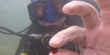 Pierres précieuses, pièces de monnaie : Un trésor antique découvert dans des navires qui ont coulé au large de Césarée