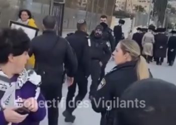 Du jamais vu ! Une policière israélienne arrache les affiches pro-palestiniennes dans une manif d&rsquo;extrême gauche