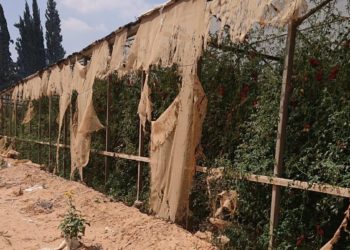 Gaza : les terroristes tirent sur un civil israélien