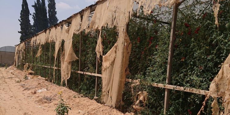 Gaza : les terroristes tirent sur un civil israélien