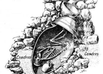 Pseudo Palestiniens, mais vrais descendants de Cananéens