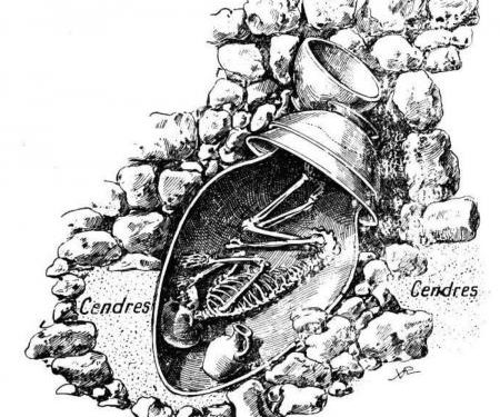 Pseudo Palestiniens, mais vrais descendants de Cananéens