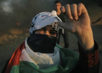 Réseaux sociaux, vidéos et groupes WhatsApp, voilà comment les émeutiers bédouins du Néguev se mobilisent