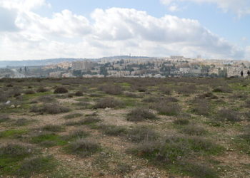 La municipalité a approuvé la construction de 3 557 logements à Jérusalem-Est