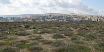 La municipalité a approuvé la construction de 3 557 logements à Jérusalem-Est