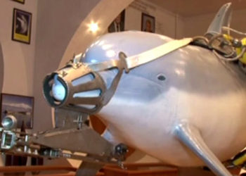 Le Hamas affirme qu’Israël possède des « dauphins tueurs »