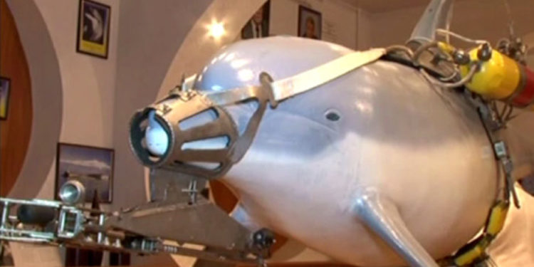 Le Hamas affirme qu’Israël possède des « dauphins tueurs »