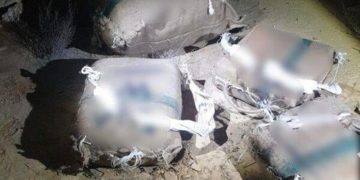 100 kg de drogue saisis par Tsahal à la frontière égyptienne