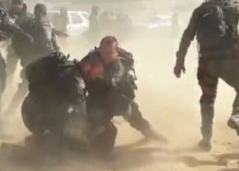 Emeutes arabes lors des plantations d&rsquo;arbres dans le Néguev : 16 bédouins inculpés