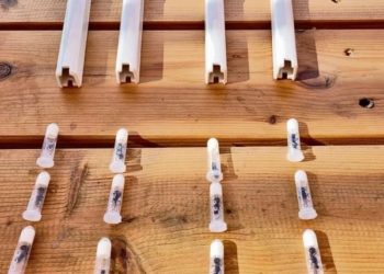 Des Mézouzot israéliennes destinées à être expédiées en Chine cachaient une étrange surprise