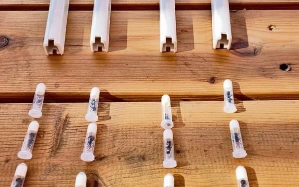 Des Mézouzot israéliennes destinées à être expédiées en Chine cachaient une étrange surprise