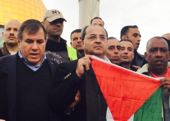 Le ventre mou de la démocratie israélienne aux prises avec ses ennemis intérieurs