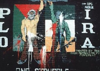 Les législateurs irlandais s&rsquo;opposent à l&rsquo;accueil d&rsquo;un Arabe israélien qui rejette le mythe de l&rsquo;apartheid