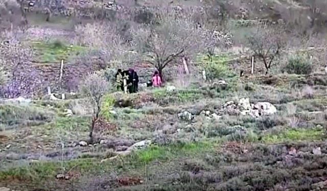 B’Tselem ne rapportera jamais ça : Une arabe et ses enfants arrachent des arbres fruitiers plantés par des habitants d’Efrat
