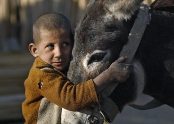 Décès d&rsquo;un enfant bédouin de 6 ans : la police ne croit pas les déclarations des parents