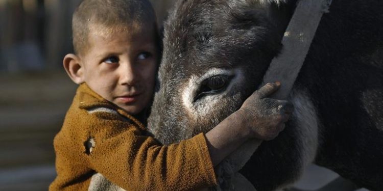 Décès d’un enfant bédouin de 6 ans : la police ne croit pas les déclarations des parents