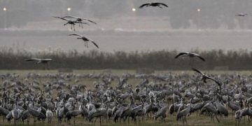 Le Sierra Club renonce aux voyages en Israël sous la pression de la gauche américaine progressiste