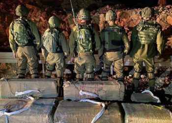 Israël : Grosse saisie de drogue en provenance d&rsquo;Egypte