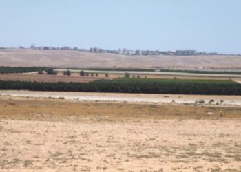 Malgré l’opposition du ministère des Finances et des Verts, deux villes ultra-orthodoxes seront établies dans le Néguev