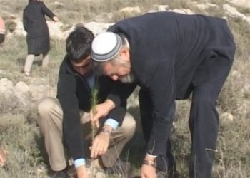 Le ministre Elkin a décidé de reprendre les plantations dans le Néguev