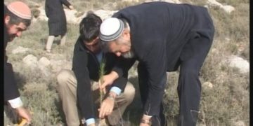 Le ministre Elkin a décidé de reprendre les plantations dans le Néguev