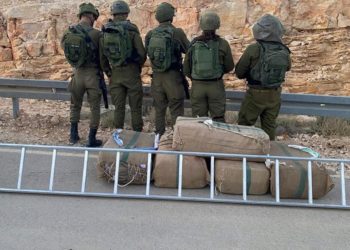 Grosse saisie de drogue à la frontière égyptienne