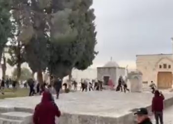 Nouveaux affrontements sur le Mont du Temple : des Palestiniens lancent des pierres sur les policiers