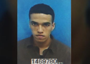 Ils sanctifient la mort, nous sanctifions la vie