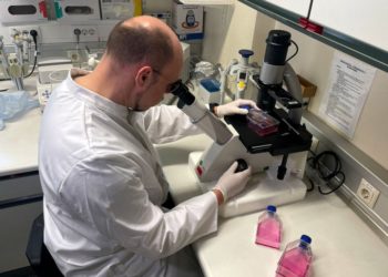 Premier cas de variole du singe en Israël : Le Ministère de la Santé va tenir une audience d&rsquo;urgence ce soir