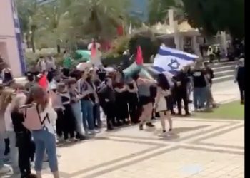 Une reine ! Seule face à des manifestants pro-palestiniens, cette jeune fille brandit un drapeau israélien