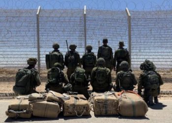 Saisie de drogue à la frontière égyptienne