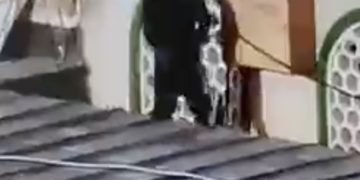 Un musulman fait pipi sur la mosquée al Aqsa, troisième lieu le plus saint de l’Islam