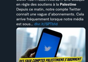 Des milliers de bots sionistes attaquent les comptes Twitter palestiniens et antisémites