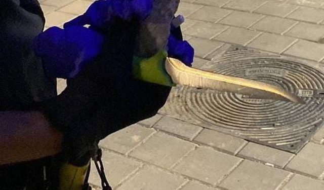 Attaque terroriste déjouée dans la région de Sharon