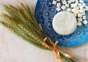 Joyeuse Shavouot à toute la maison d&rsquo;Israël !