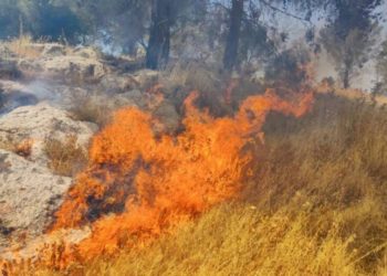 Des Arabes et des juifs l&rsquo;extrême gauche ont mis le feu à un avant-poste à Shechem, l&rsquo;ancienne capitale du royaume d&rsquo;Israël