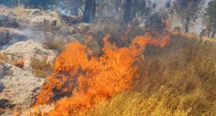 Des Arabes et des juifs l’extrême gauche ont mis le feu à un avant-poste à Shechem, l’ancienne capitale du royaume d’Israël