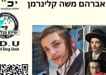 2 interpellations en lien avec la disparition inquiétante de Moshe Klinerman